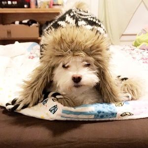 Meet your Posher, Ammie